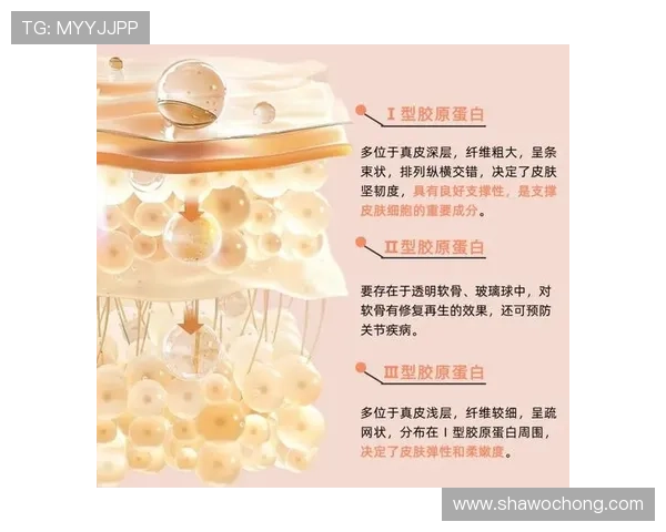 开运滚球的材质与颜色选择指南帮助你挑选最适合自己的开运滚球提升整体运势的实用建议